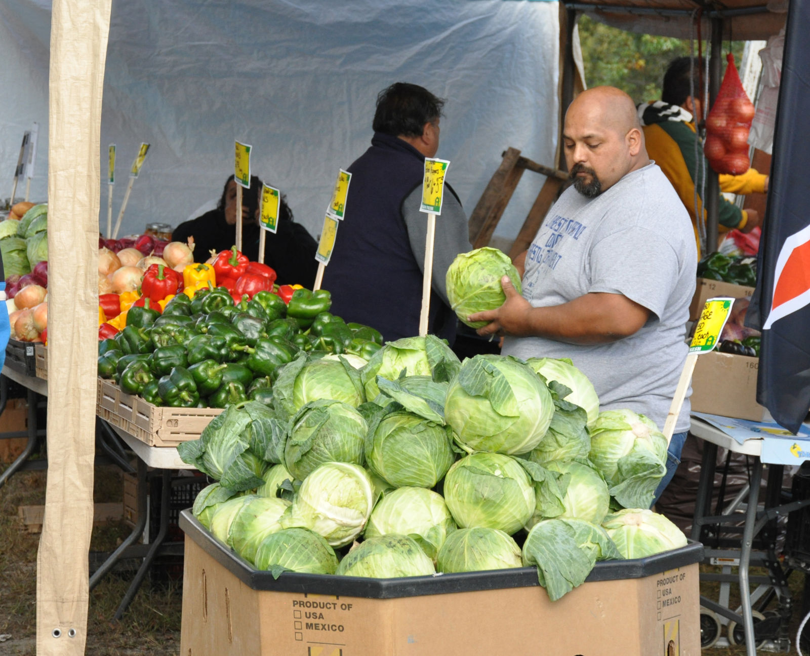 Vegetable stand.JPG